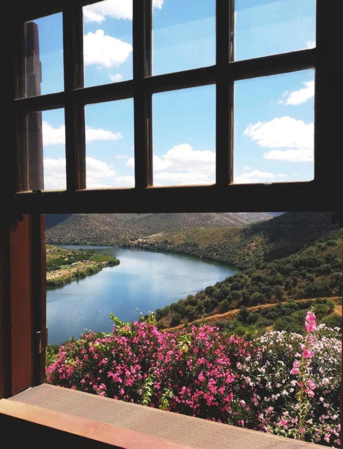 Villa Auri Vila Nova de Fozcoa Εξωτερικό φωτογραφία