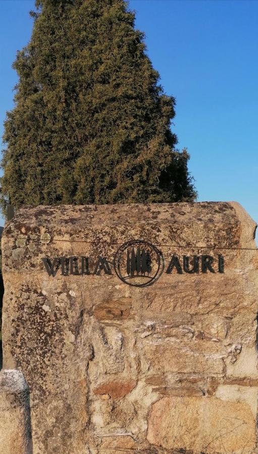 Villa Auri Vila Nova de Fozcoa Εξωτερικό φωτογραφία