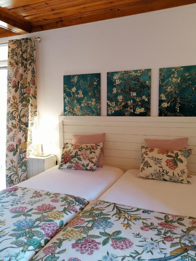 Villa Auri Vila Nova de Fozcoa Εξωτερικό φωτογραφία